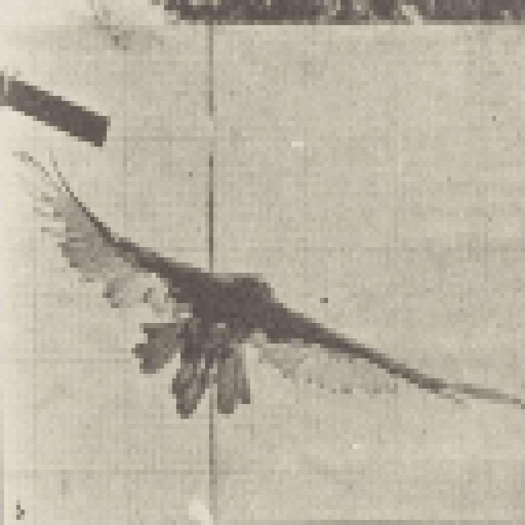 Pixelated illustration of a vulture in flight